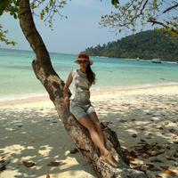 Отзыв от Аврора - виза ДТВ