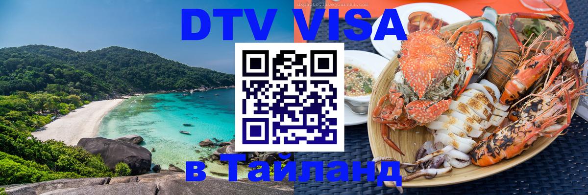 Сколько стоит DTV виза — актуальные цены, оформление даже без документов - Пенза  09.01.2026 